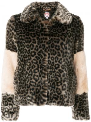 Короткая куртка с леопардовым принтом Shrimps. Цвет: коричневый