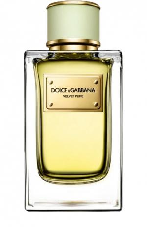 Парфюмерная вода Velvet Collection Pure Dolce & Gabbana. Цвет: бесцветный