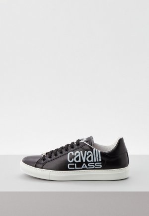 Кеды Cavalli Class. Цвет: черный