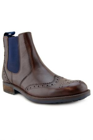Boots PAOLO VANDINI. Цвет: коричневый