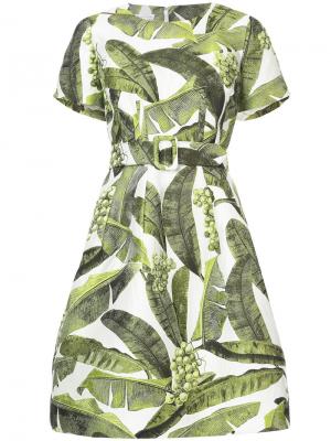 Платье с поясом и пальмовым принтом Oscar de la Renta. Цвет: зелёный