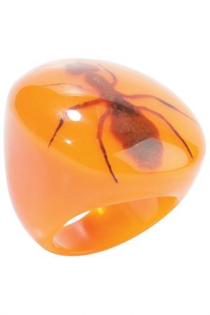 Кольцо Zsiska. Цвет: оранжевый